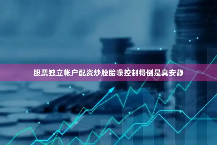 股票独立帐户配资炒股胎噪控制得倒是真安静